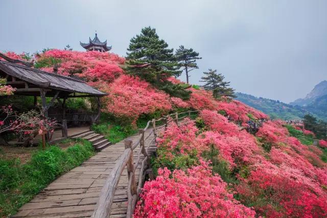 风里，雨里，在等你